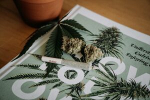 Cannabis Education Online for BeginnersThingsToKnow