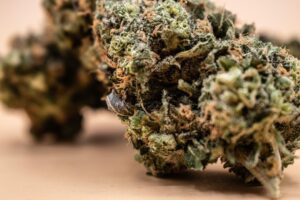 Pros & Cons of Visiting the Same Massachusetts Medical Dispensary