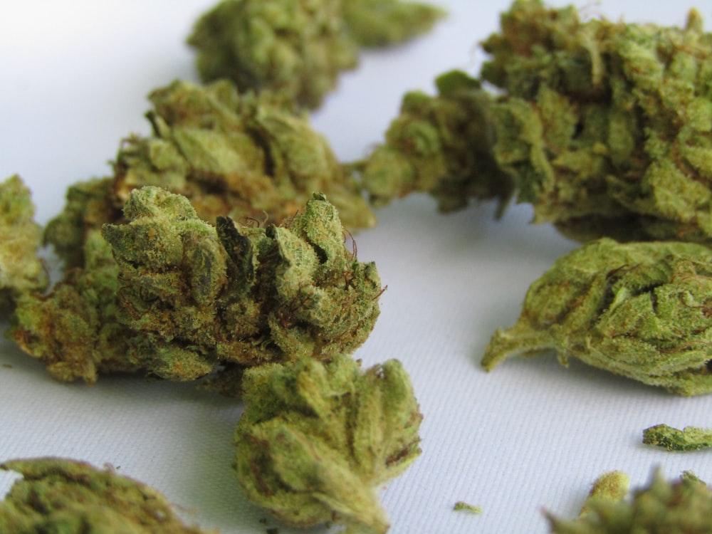High-Quality Weed (vs. Bad Weed): What to Know
